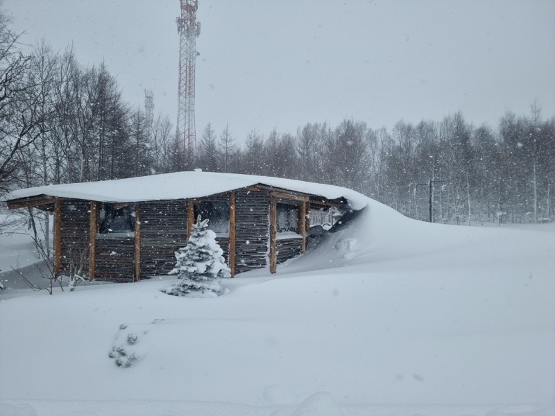 9d5dc7b9319786f53cad62754dec4489_1715068